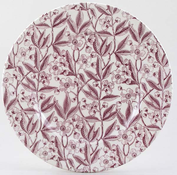 Dinner Plate